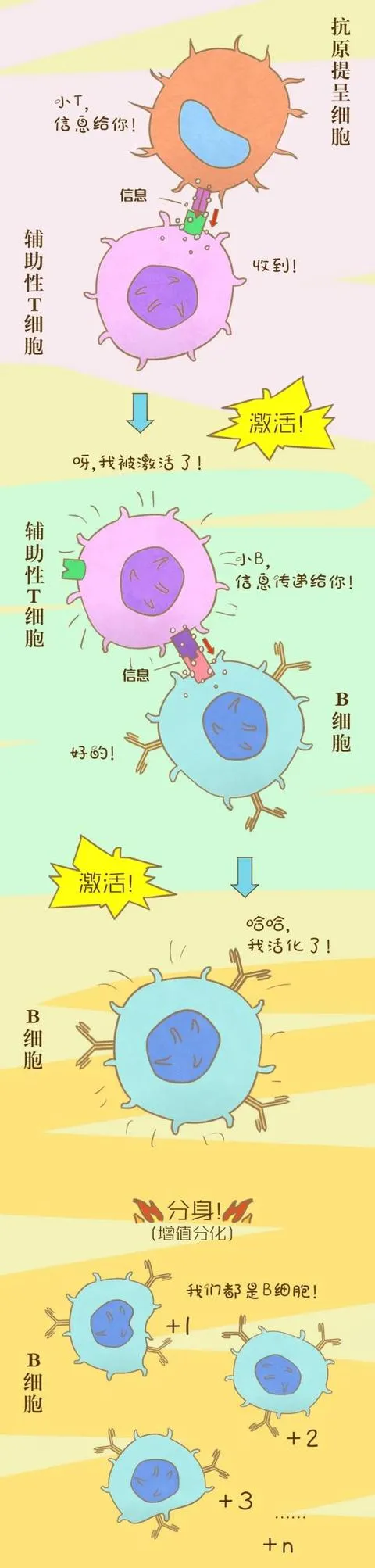 科普 | 一分钟看懂：疫苗在身体里如何战斗