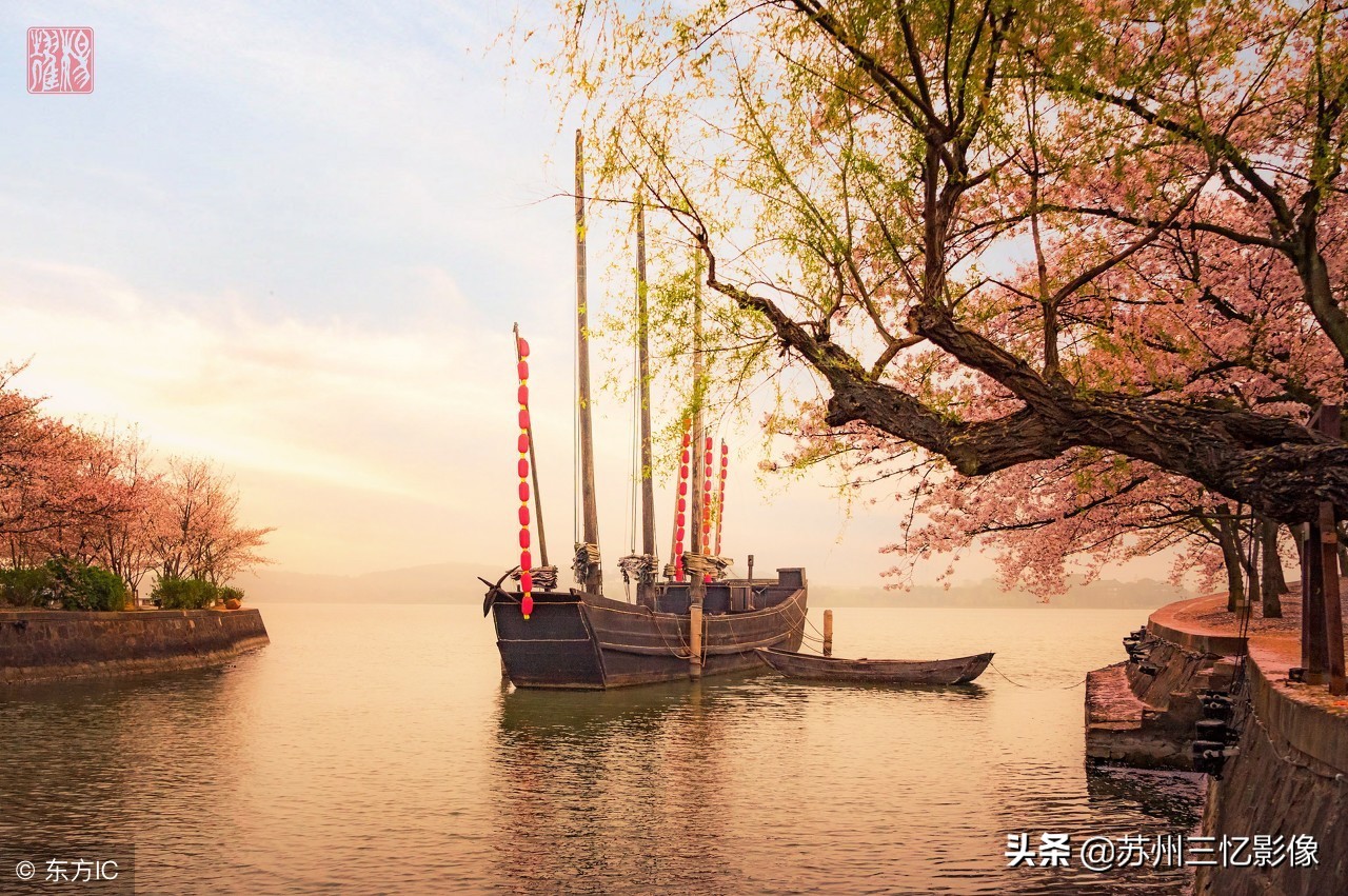 一处江南赏樱胜地——无锡鼋头渚