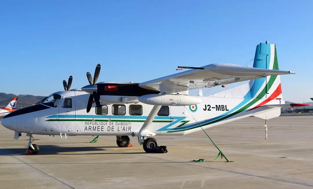 ������������Ĺ����������-12