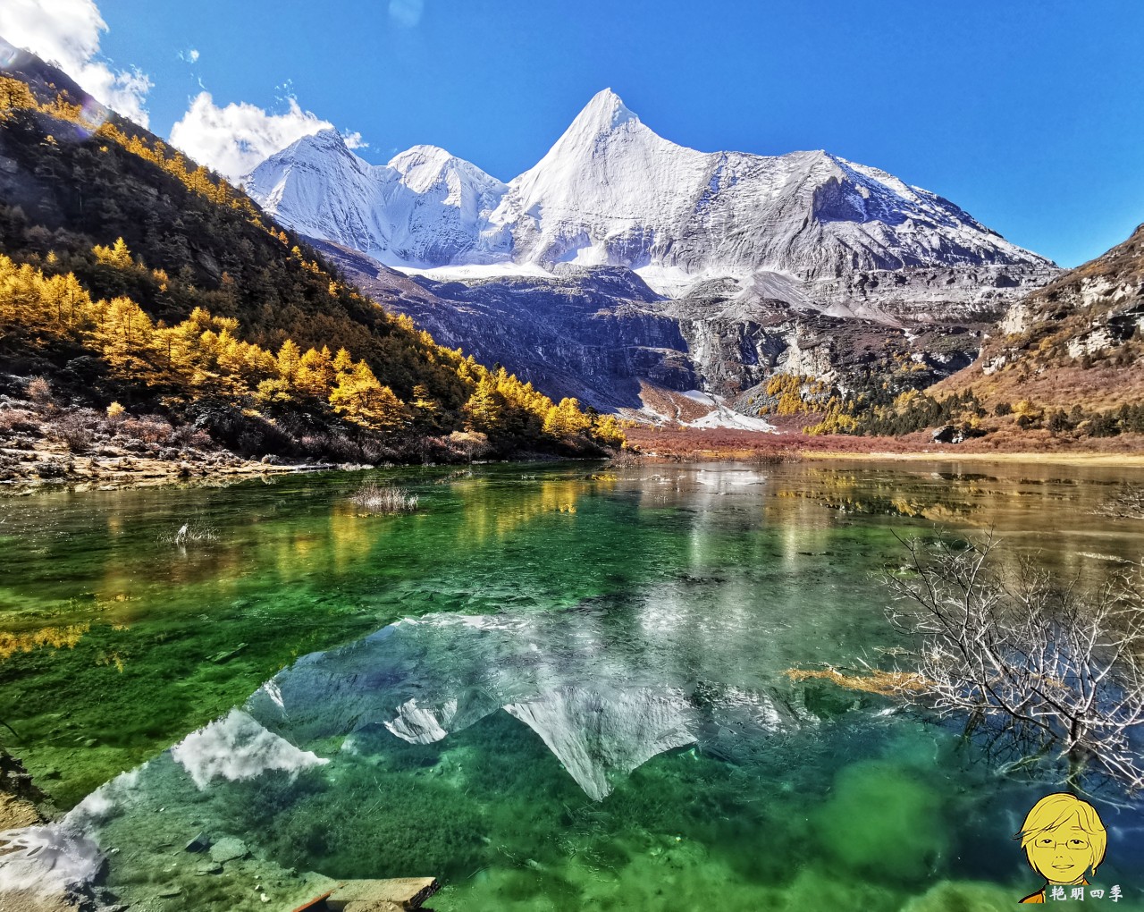 The golden autumn is here again, if you want to go to Aden, Daocheng, you should set off