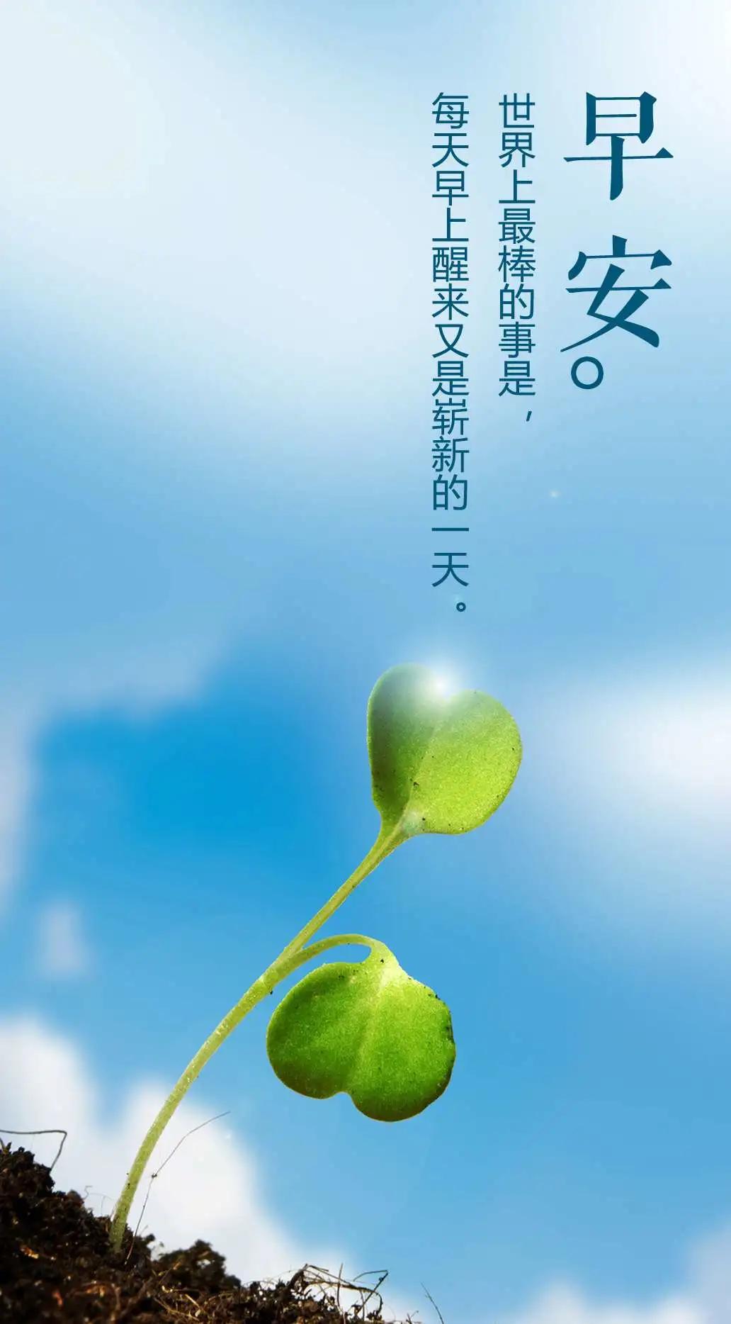 「2020.11.21」早安心语，正能量励志经典语录清晨问候