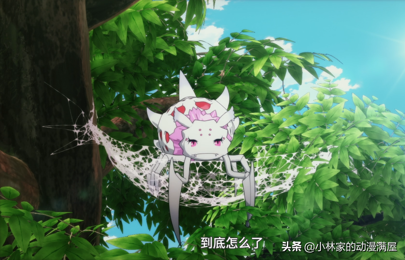 轉生蜘蛛：全員腹黑？精靈族是幕後黑手，蜘蛛子成了神獸