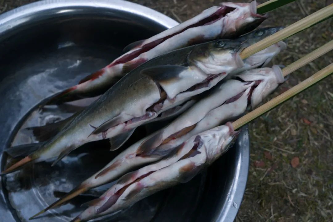 硬核！央视《味道》拍摄在腾冲完美收官！