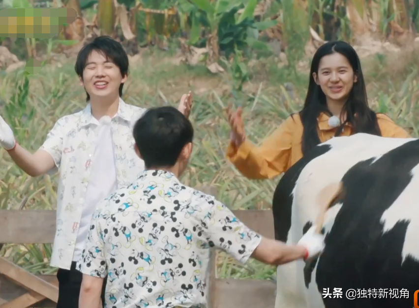 黄磊在综艺里表现是不妥，但不至于人品出问题