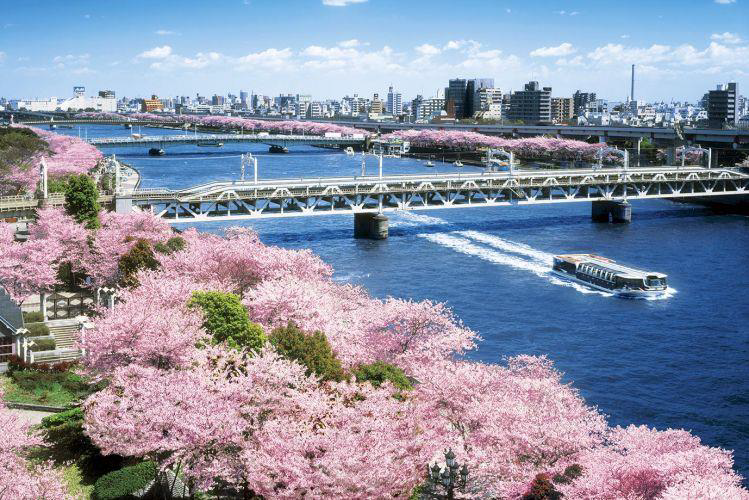 东京热销包租公寓，浅草花园 Garden+ Asakusa