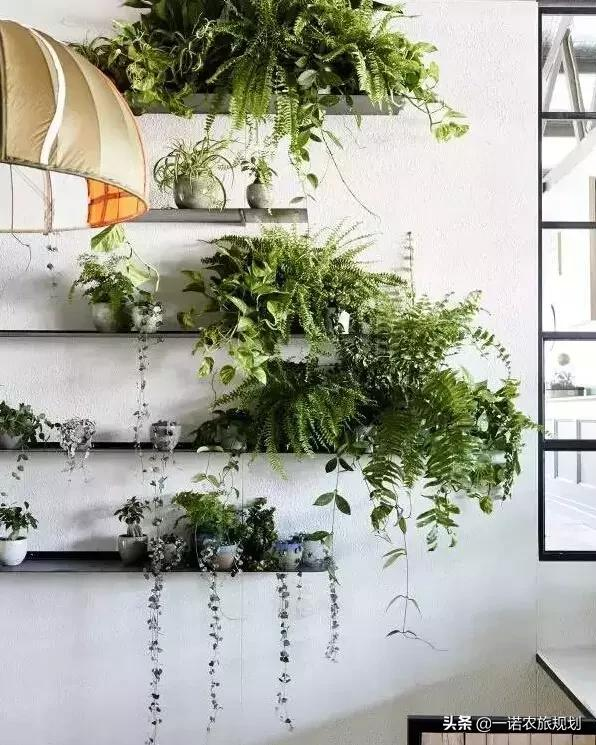 如何用花花草草，布满屋里屋外？