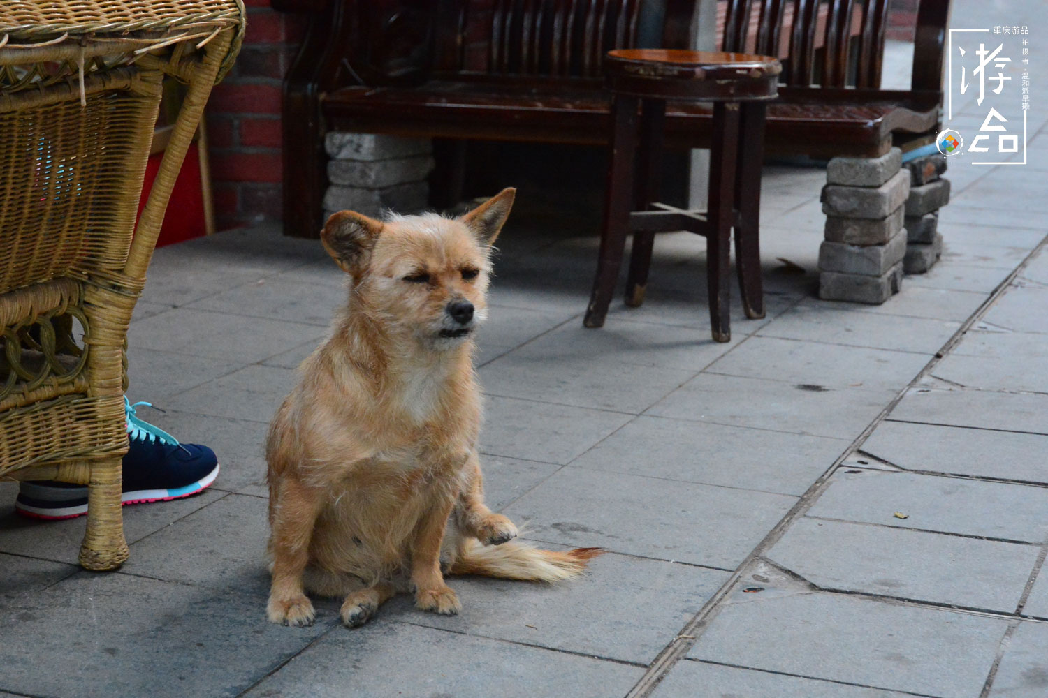 老重庆教你破解“山城迷宫”：不看导航，如何迅速找到近路？