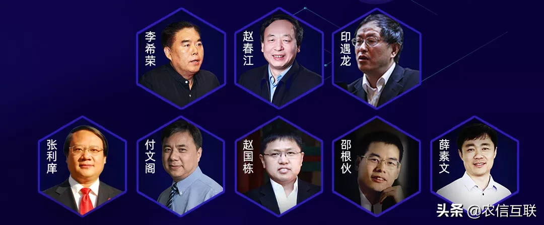 数智赋能养猪业，双疫之后再腾飞——2020农信互