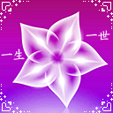 表情|情人节动态表情微信图片大全 2021情人节快乐动态祝福语图片