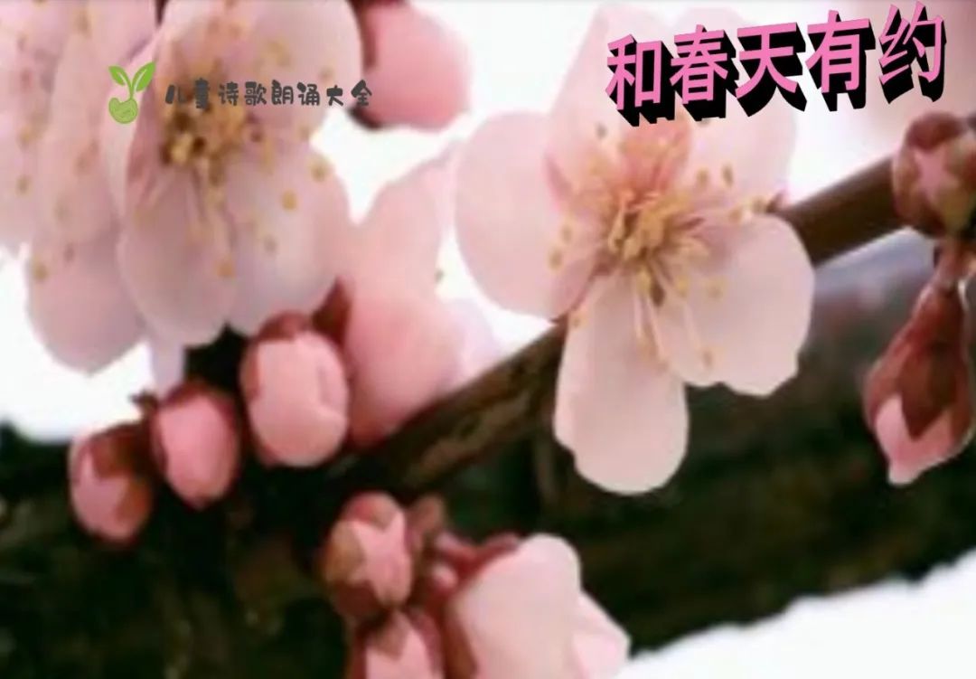 《和春天有约》-第2张图片-非凡网