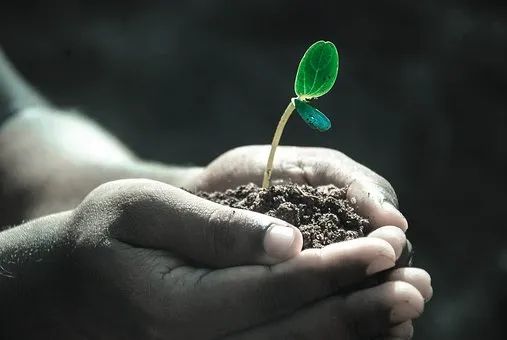 留学生父母，我们的共同命题就是：放下孩子