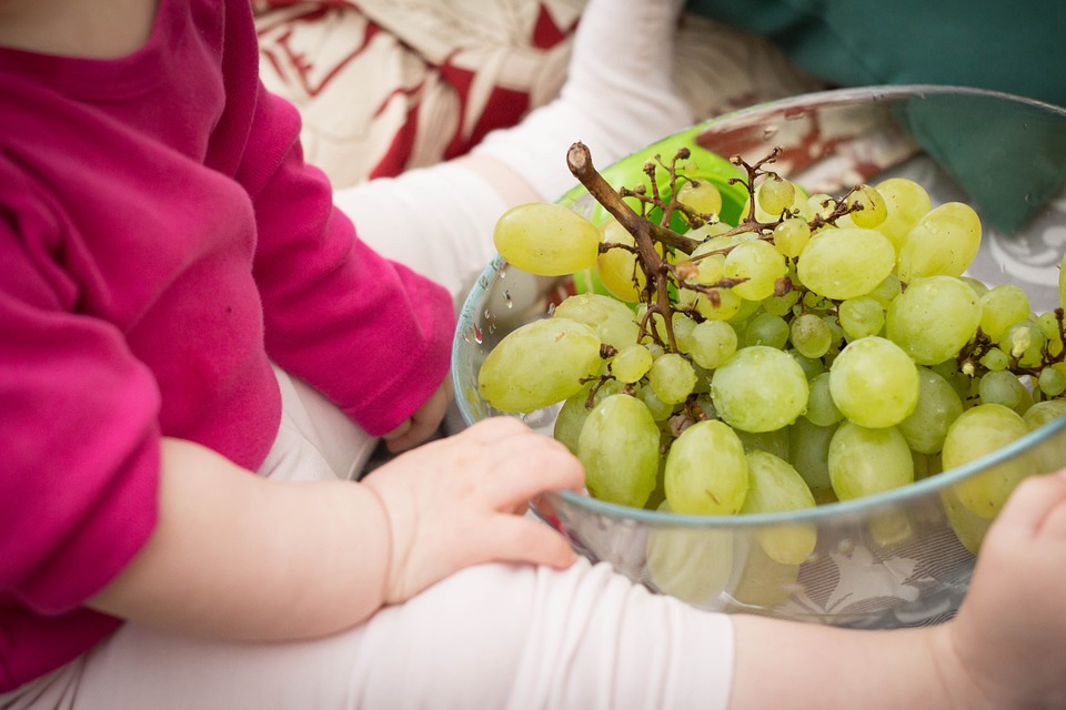 秋天瓜果香，这7种水果多给孩子吃，应季水分大还润燥，减少生病