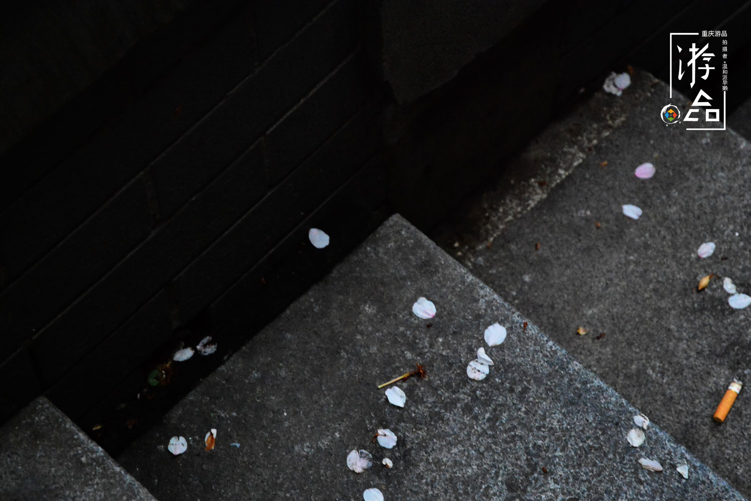 5分钟！我从重庆大礼堂跑到中山四路，梯坎越陡越省时