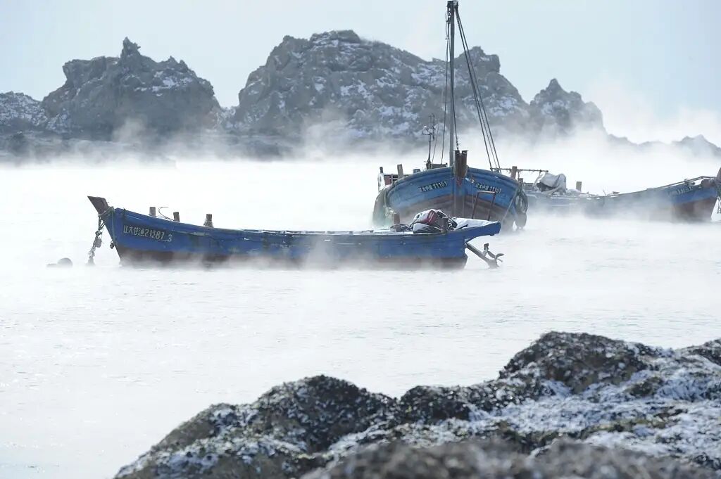 北極寒潮來襲，大海沒冰凍還“沸騰”了，大連青島現“海浩”奇觀