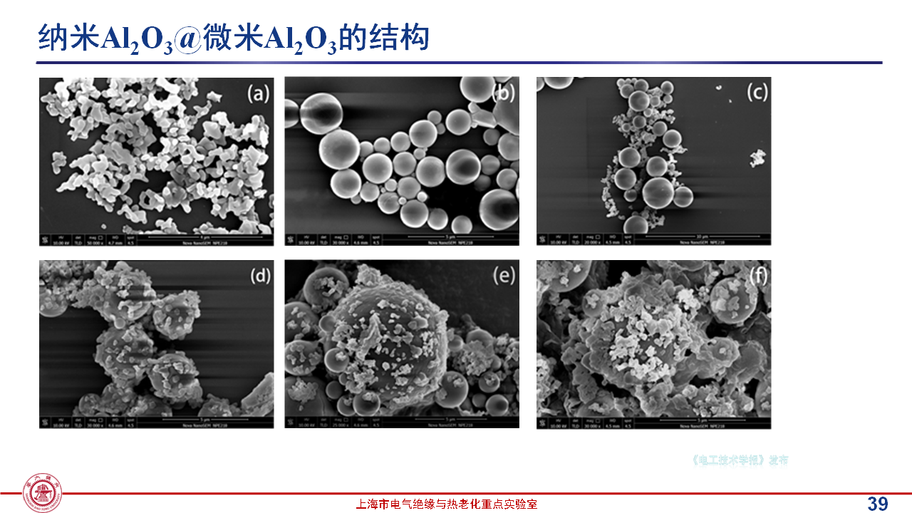 上海交通大學(xué)黃興溢教授：導(dǎo)熱絕緣復(fù)合電介質(zhì)中的界面設(shè)計與實證