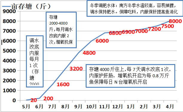 實戰(zhàn)派：加州鱸爛身病頻發(fā)，總也治不好，試試這個新方法