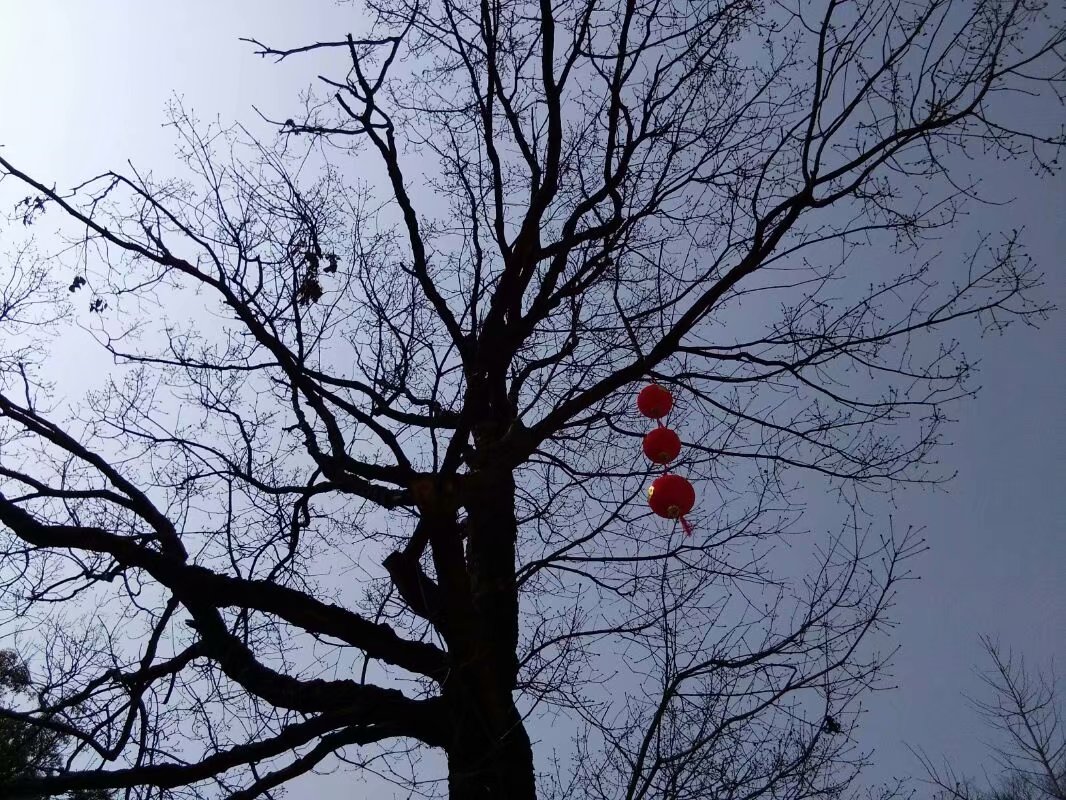 农村俗语：“清明晚上两禁忌，不犯禁忌获喜气”说的是什么意思？