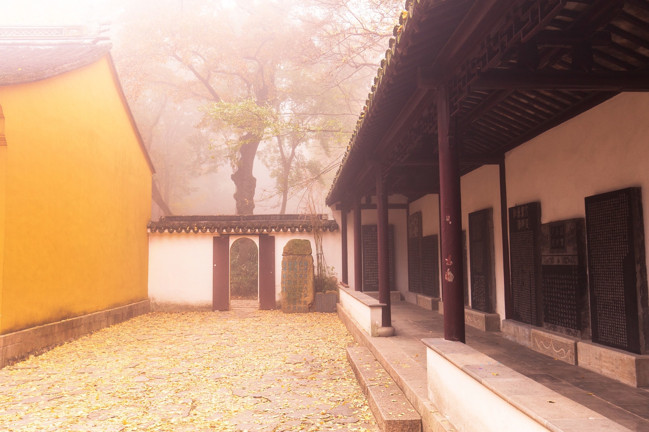 5月新书 | 王凯：我还是想做管家的，对此你有什