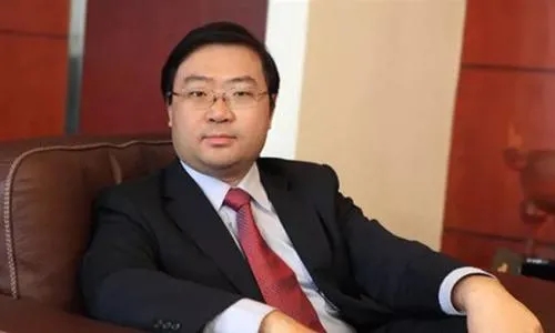 “枭雄”彭小峰，新能源首富们的大败局