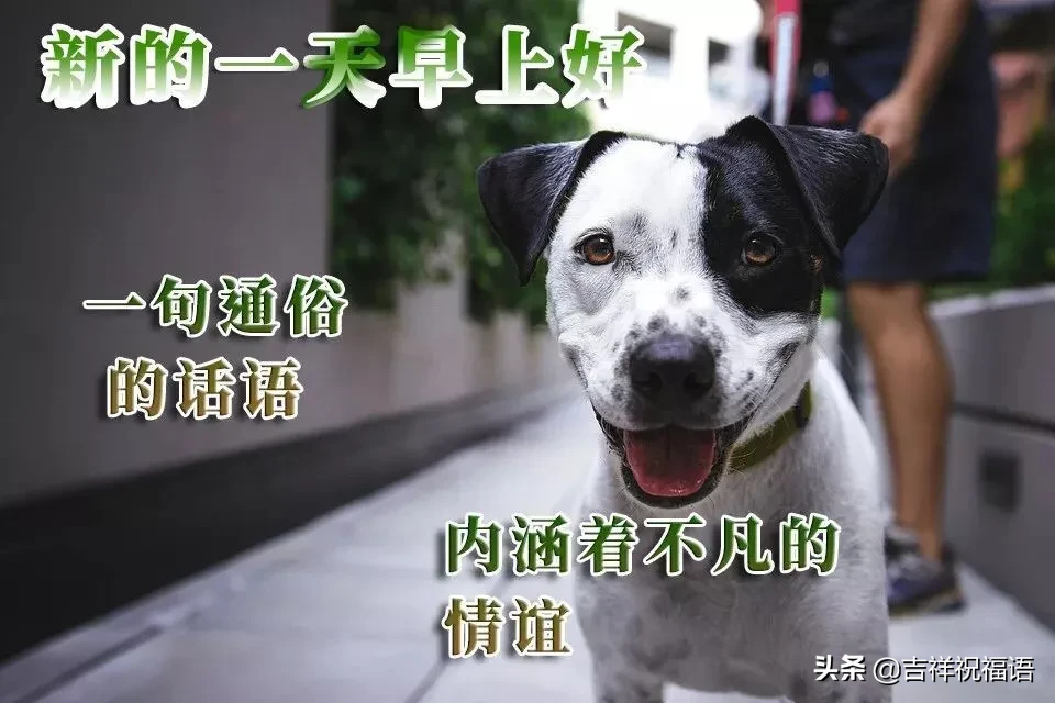 最近刚出的早上好图片 特别漂亮的早上好图片图片