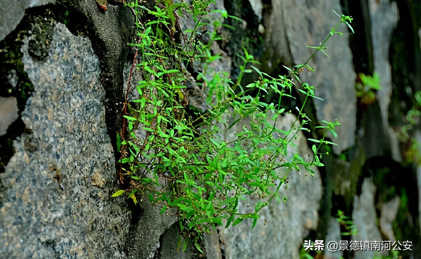 描写山水的五言绝句-第8张图片-诗句网