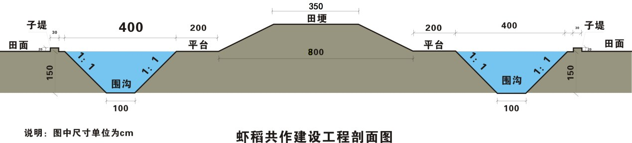 虾稻共作模式与技术讲座