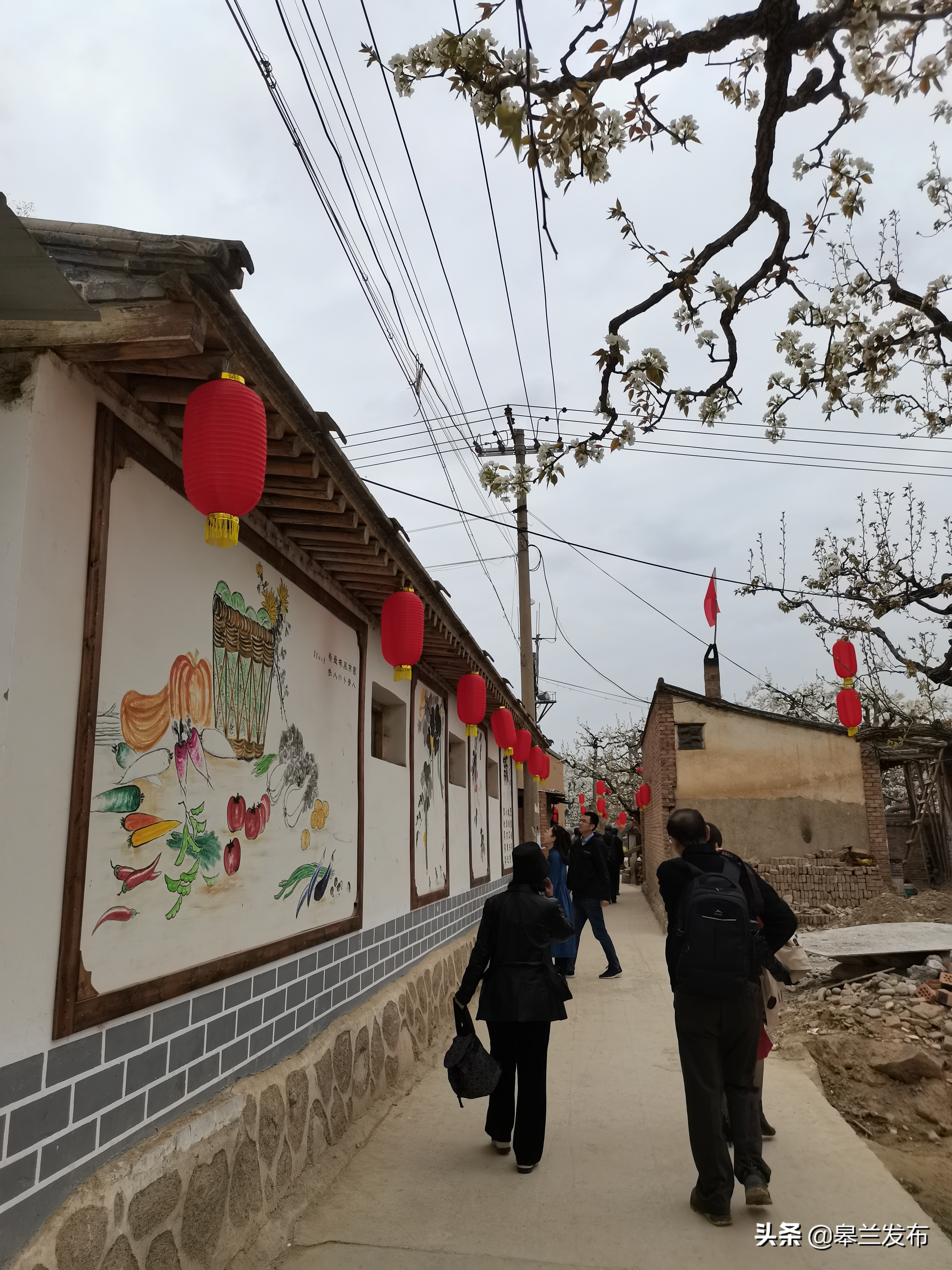 ����ʲ������԰������������