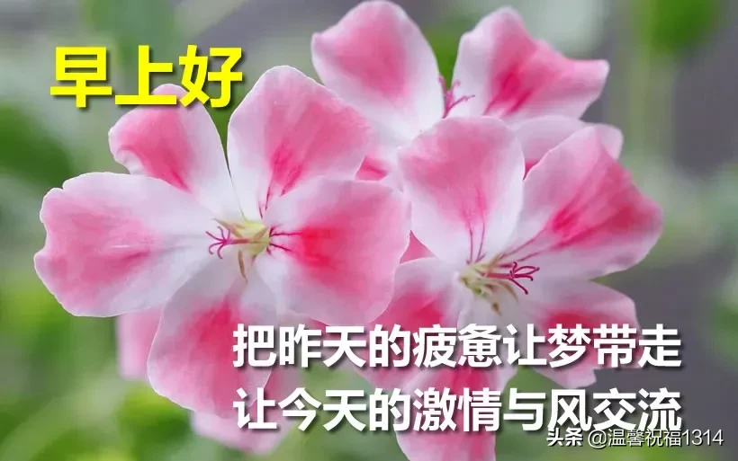 好看的早安图片带字推荐，漂亮的早上好问候语图片图片