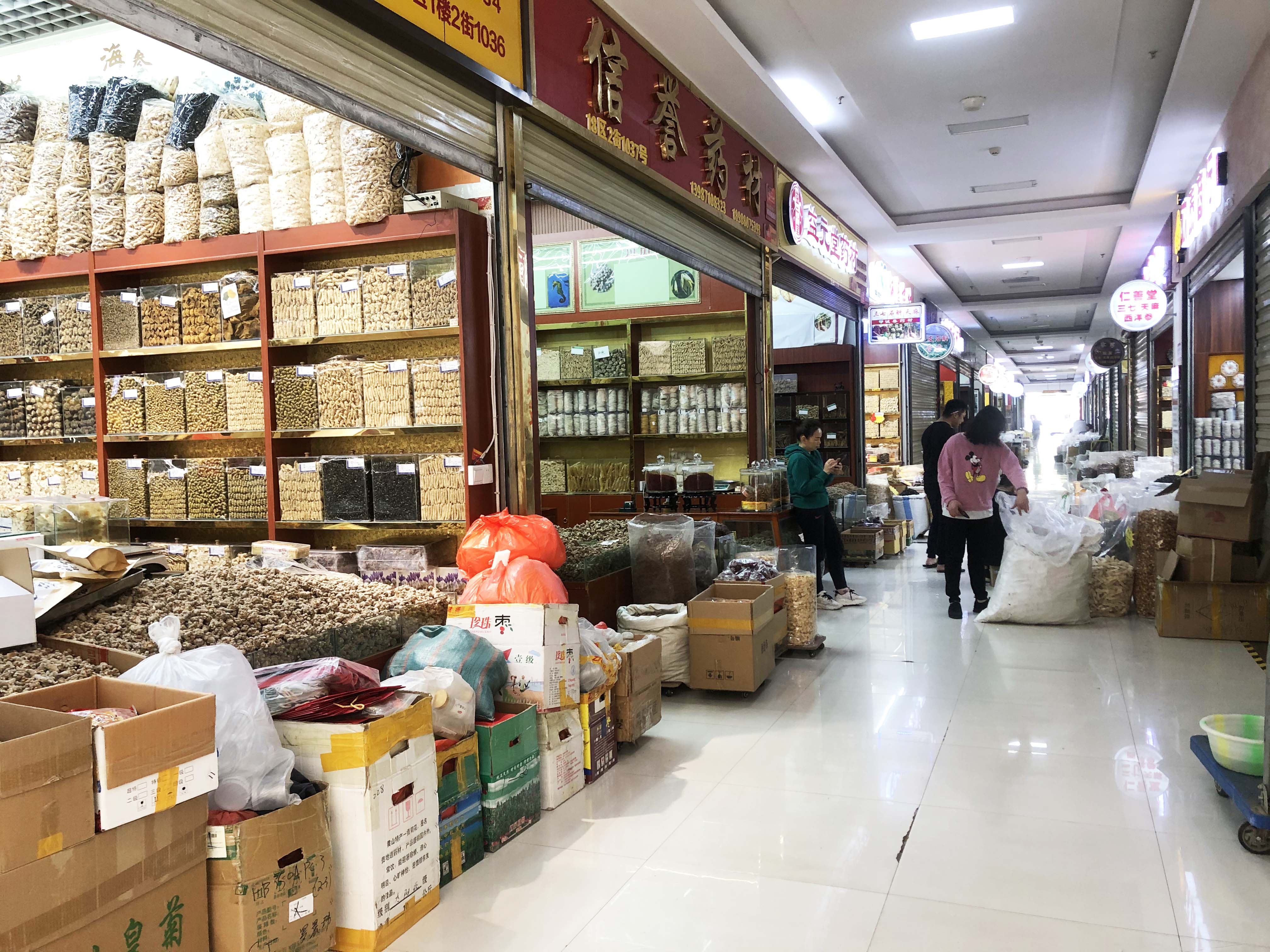 昆明新螺蛳湾药材市场开启健康生活新方式，本土养生栏目正式开机