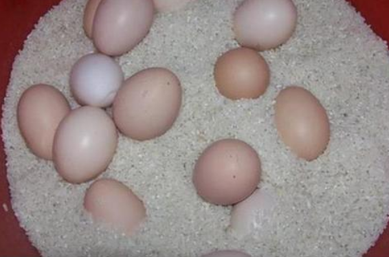 图片[5]-保存鸡蛋的土方法 很管用-起舞食谱网