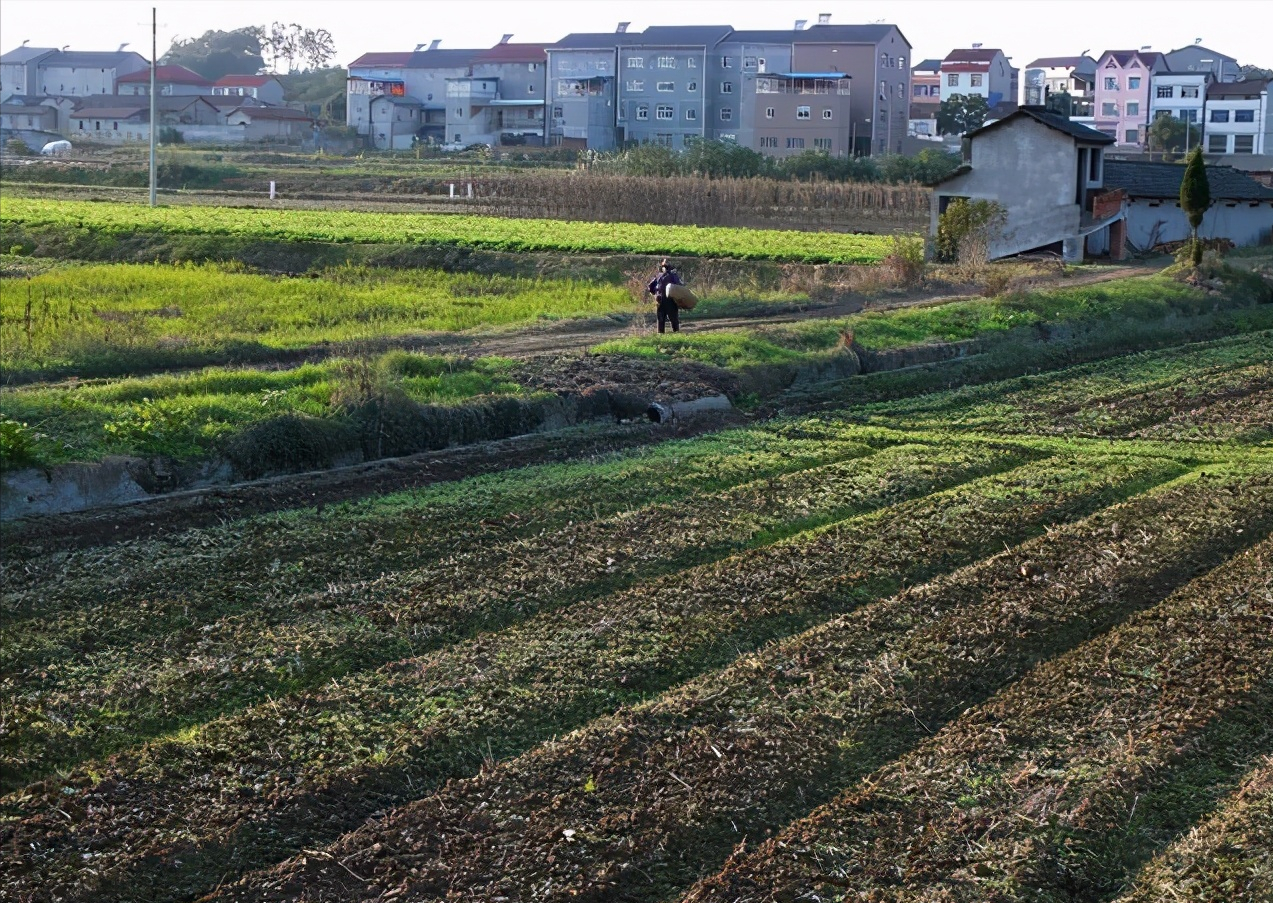 确权已全面结束？农村有房的留意：9月起，农村房子统统这样处置