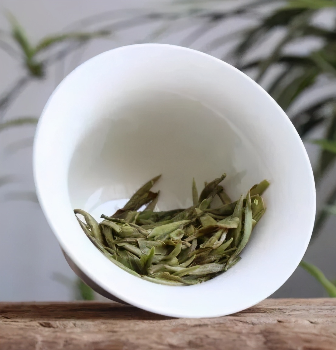 “喝不喝春白茶？”進階茶友的心動暗號