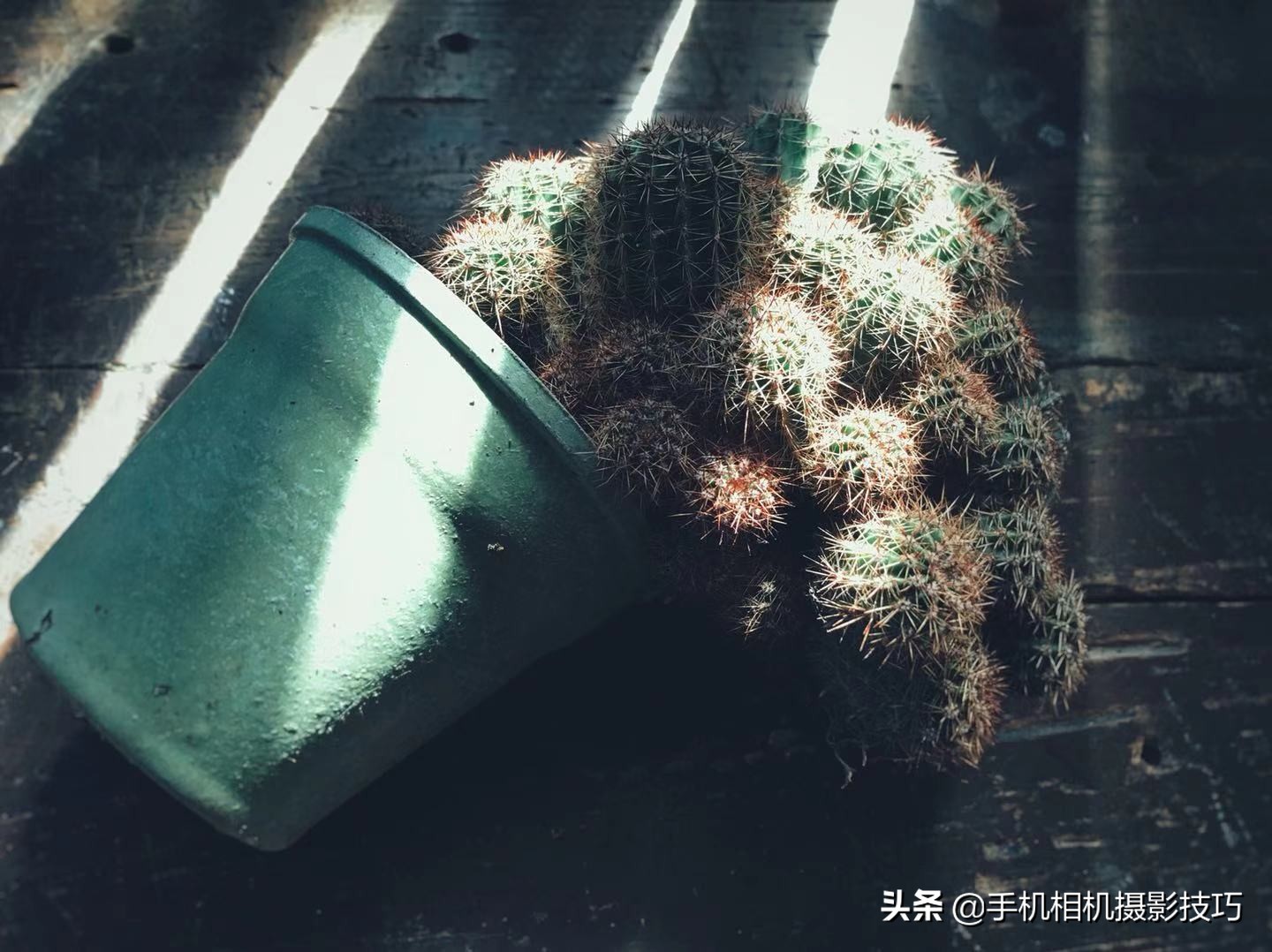 In the winter, what kind of photograph to pat to encircle market support more easily in the friend? These 16 pieces of photographs give you inspiration