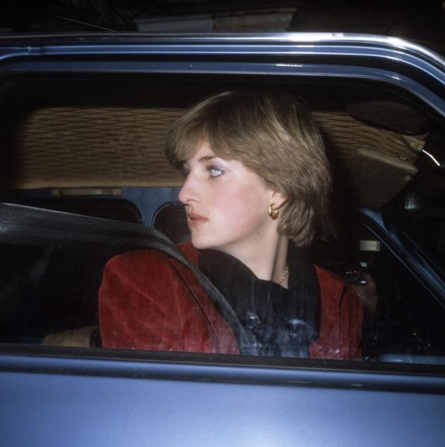 戴安娜最后的情人：埃及亿万身家的公子哥，2