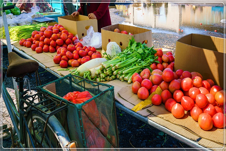 46岁的打工者想返乡创业，做什么项目门槛低，投资少、挣钱快？