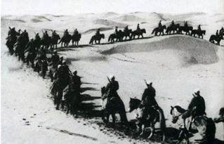 土匪残害解放军副师长，王震将军说：用大炮讲道理，用刺刀教训