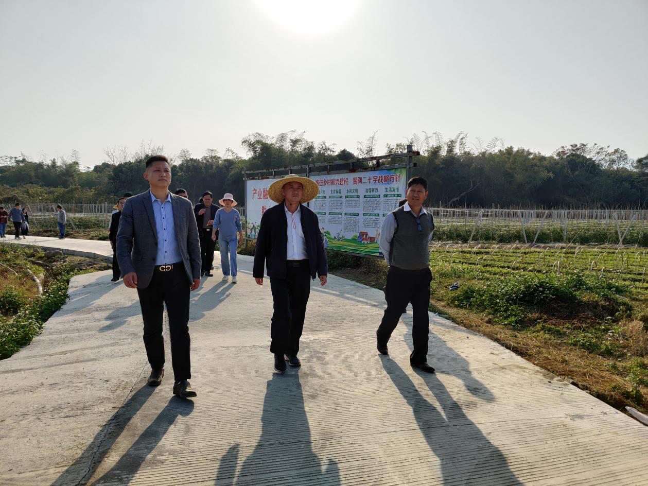 高质量打赢脱贫攻坚战 铸就英厚村乡村振兴梦