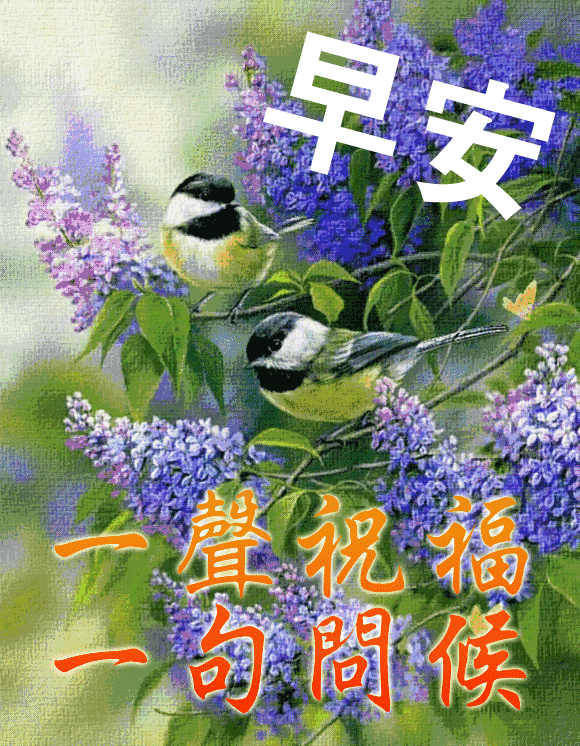 一句话精致早安 每日最新早安图片图片