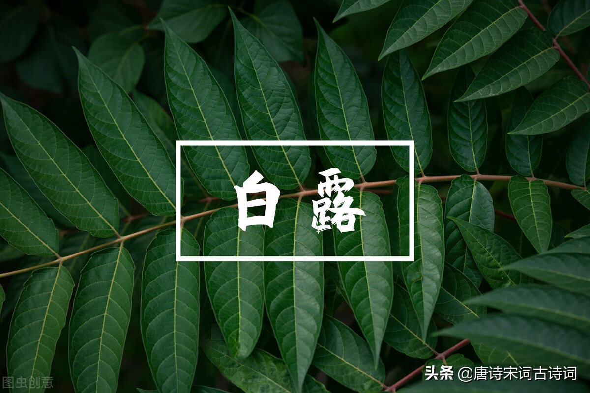 白露节气，赏析李白的《玉阶怨》-第2张图片-非凡网