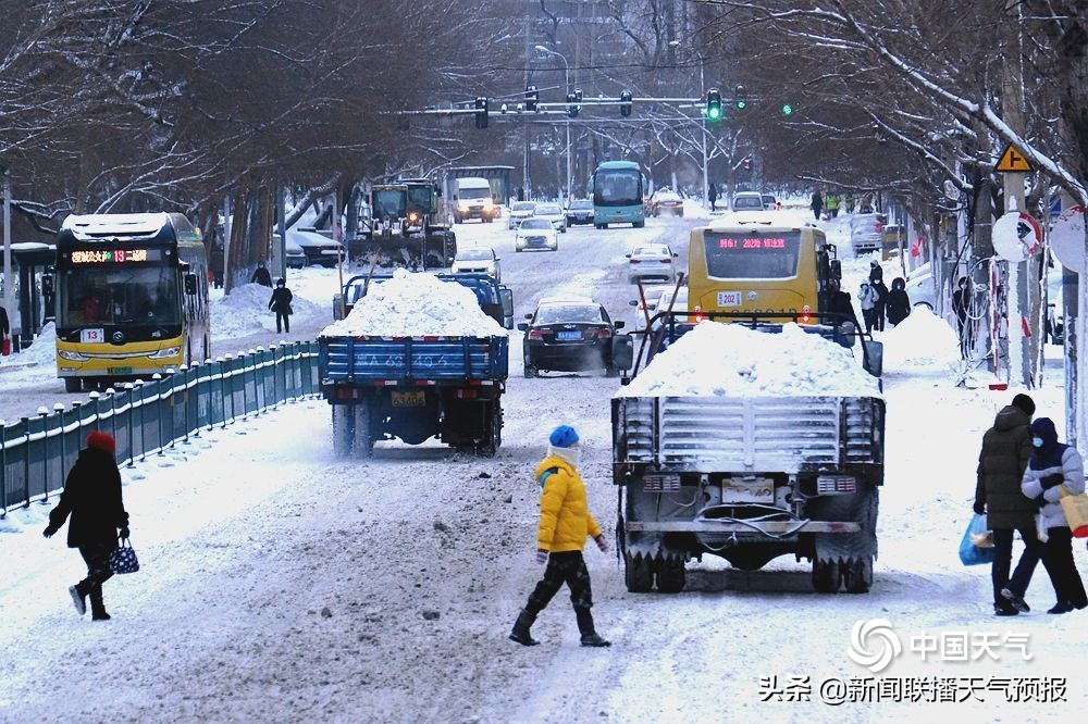 东北已冷哭！明天“立春”，气温立马触底反弹！