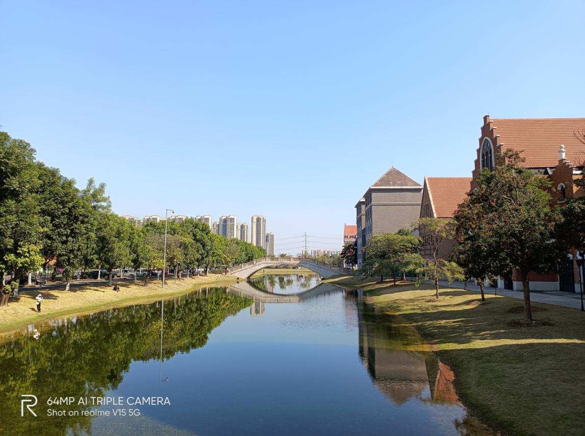 Millet " with a rustle quiver " , realme V15 is behaved integratedly really more sexual price is compared