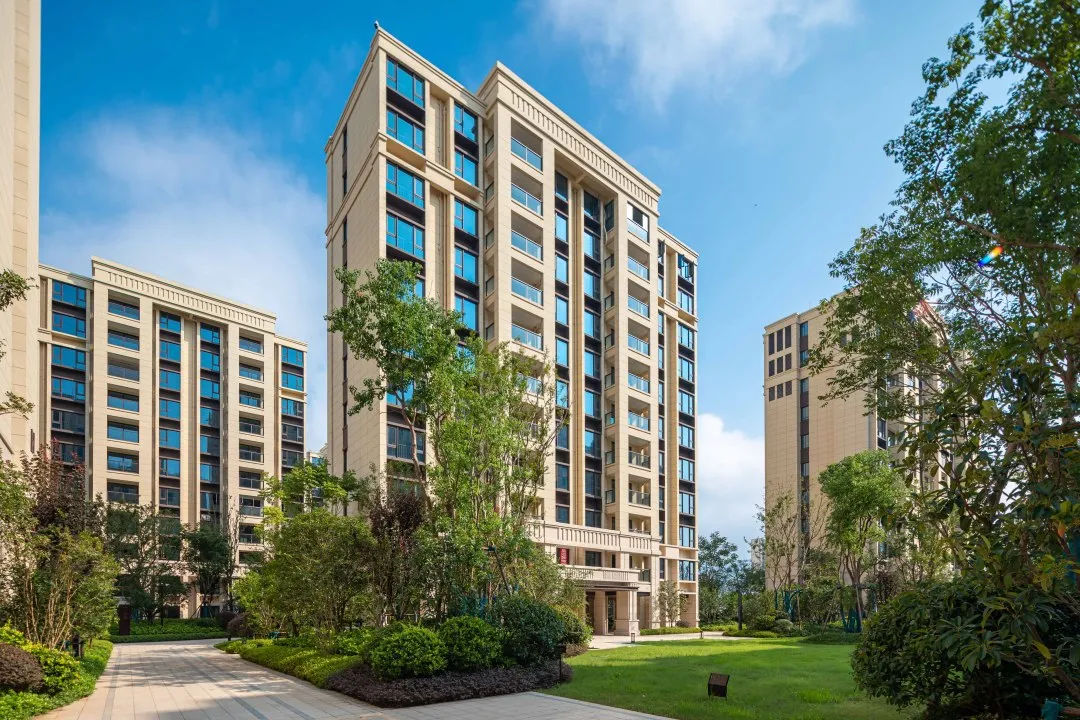 曾经播下的希望种子，此刻已枝繁叶茂