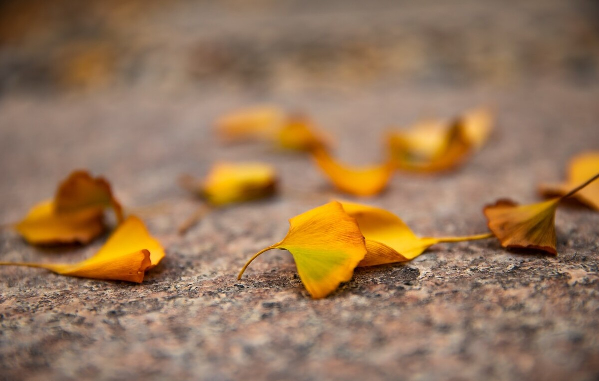 在家就能做的5个赚钱副业，让你有勇气说辞职