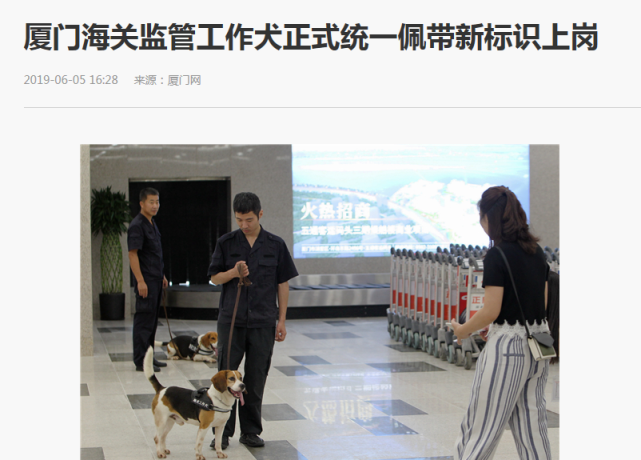 检疫犬被乘客踢了一脚委屈得躲在工作人员怀里？并非事实