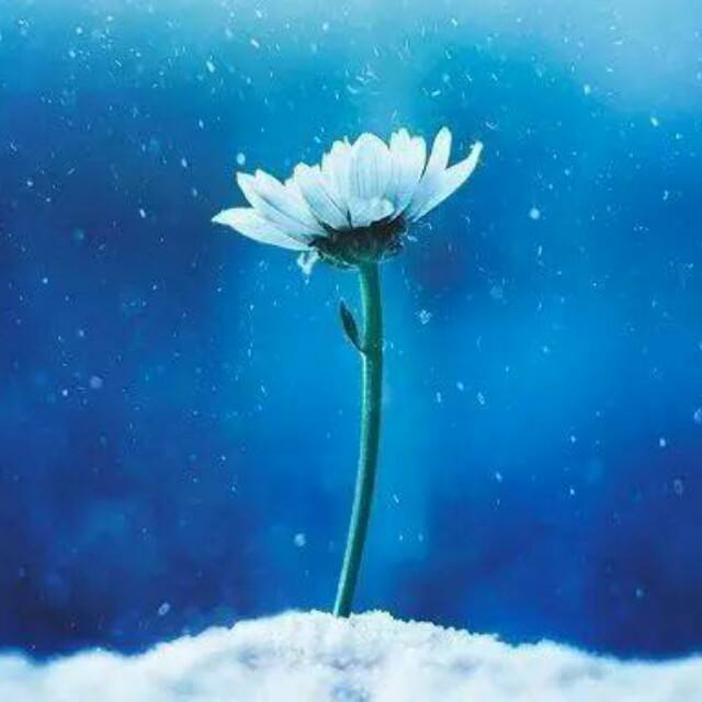 我们能不能好好说话？