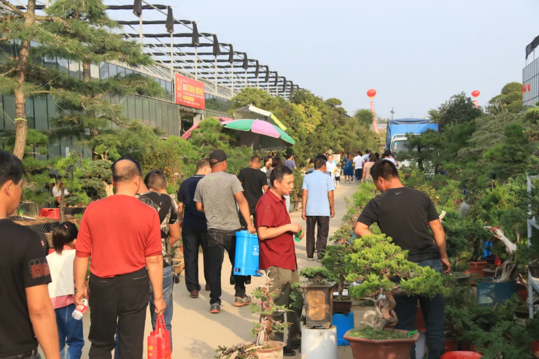 大饱眼福，第八届中国沭阳花木节竟如此精彩！你想看的全在这里…