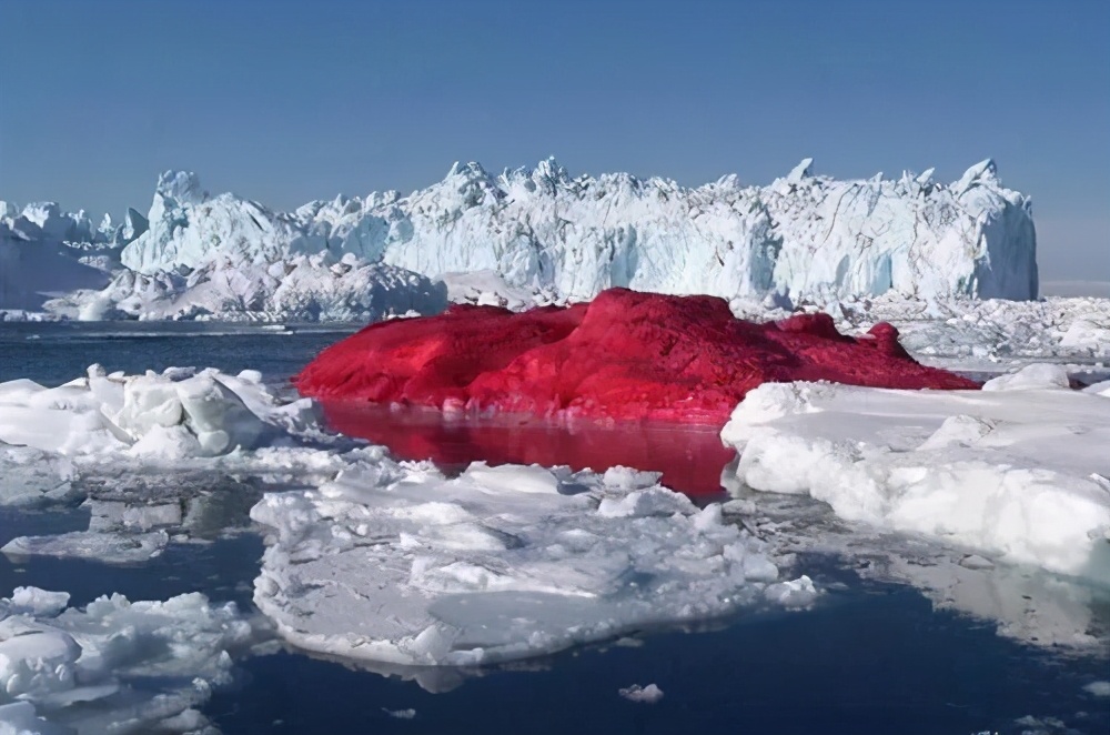 南极出现西瓜瓤般的红雪，闻起来还有西瓜味，却和西瓜没半点关系