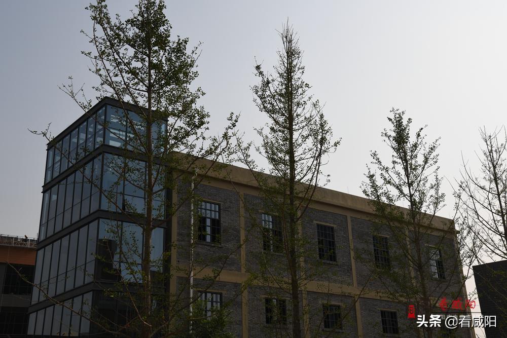 咸陽渭城中學遷址新建項目建設(shè)紀實(圖11)