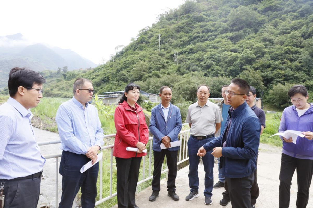 楚雄州政协主席杨静到楚雄市督察调研河(湖)长制工作