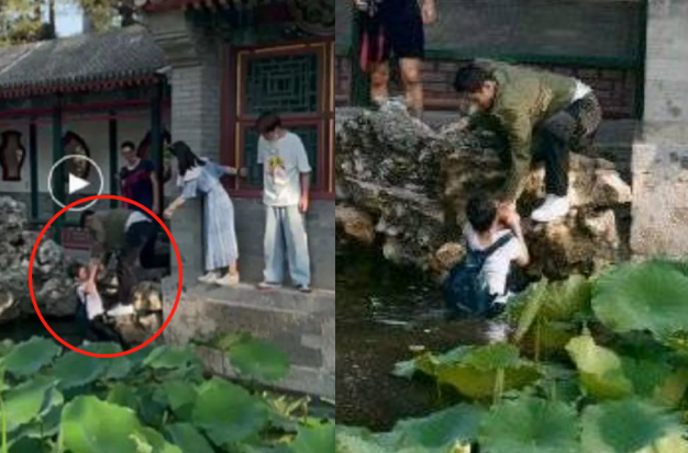 向佐录节目救落水儿童！小孩被拖入海里十分危险，女导演尖叫求助